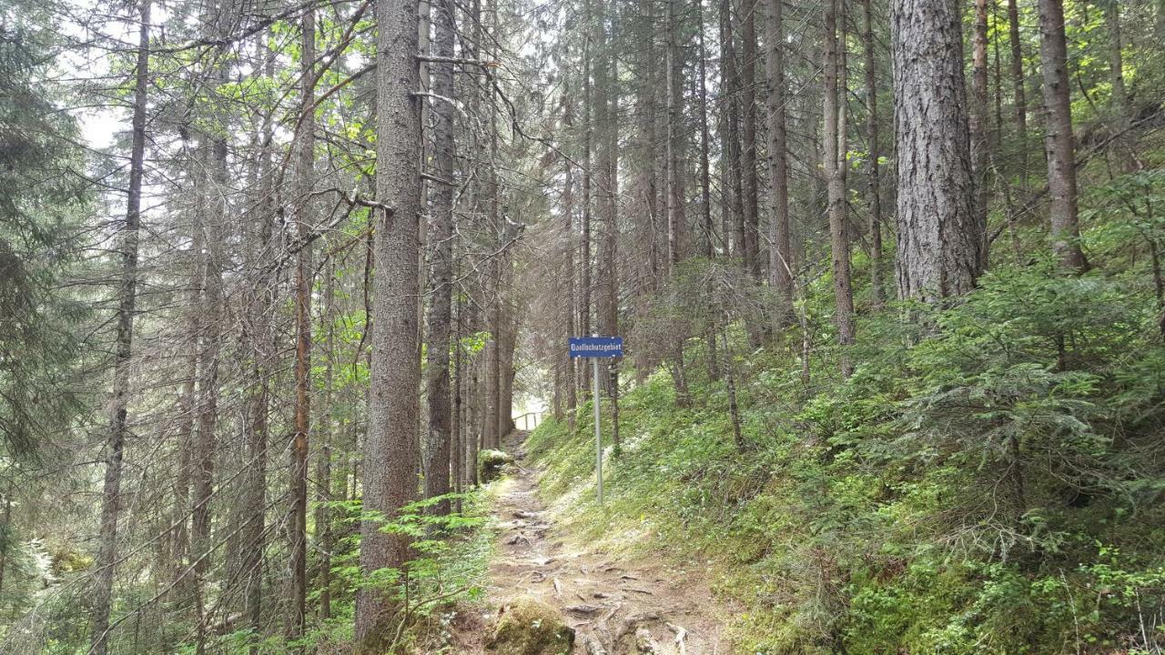 Haus Guem Lejlighed Ehrwald Eksteriør billede